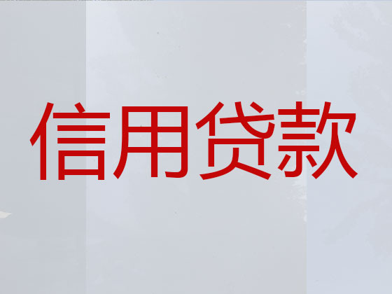 衡水本地贷款公司
